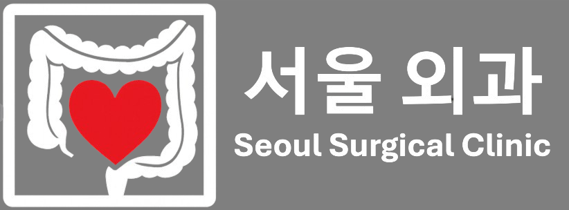 서울외과 Seoul Surgical Clinin