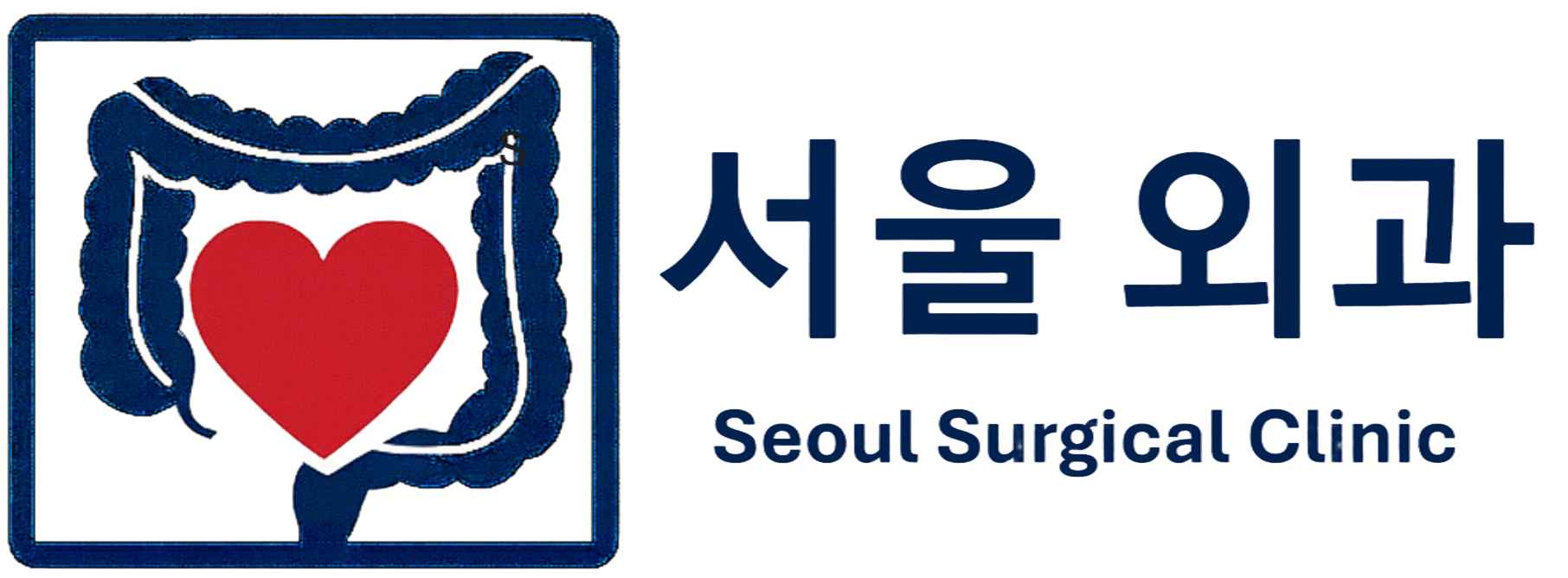 서울외과 Seoul Surgical Clinin